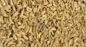 Les graines de carvi (karwiya)