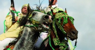 Festival Le cheval de Tissa en vedette