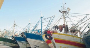 Accord de pêche Maroc-UE Le niet renouvelé du «Collectif pêche»