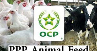 Le PPP, nouvelle alimentation animale