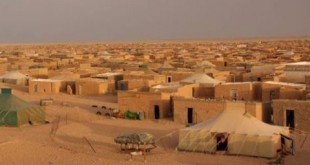 Inédit à Tindouf : Des tracts en faveur de l’autonomie