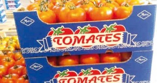Maroc-UE : «La tomate» marocaine écrasée…