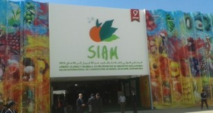 Le SIAM, comme si vous y étiez…