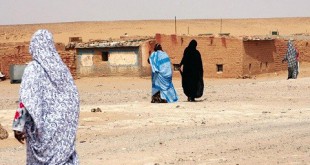 H. R. Watch : Enfin, la vérité sur Tindouf !