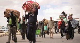 L’exode libyen des Egyptiens