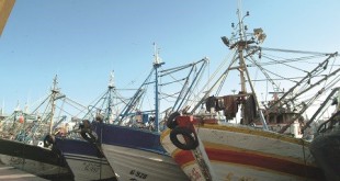 Agriculture : Les pêcheurs artisans à l’honneur