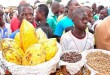 Afrique-OCP : La Caravane-Cacao roule bien