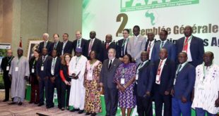 FAAPA : L’autre union de l’Afrique… Par ses médias