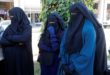 «Burqa show» devant le Parlement et vives réactions