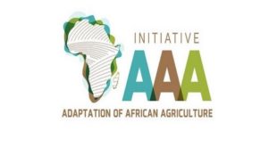 Initiative Triple A : Une réponse aux défis alimentaires de l’Afrique