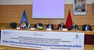 Risques phytosanitaires : L’ONSSA préfère prévenir…