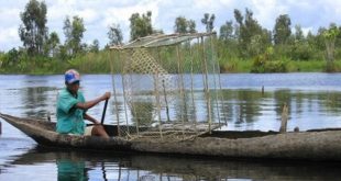 Madagascar : Redonner vie au canal des Pangalanes