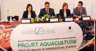 Maroc : Algoculture, relais de croissance de l’aquaculture
