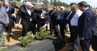 Larache : Des projets agricoles à forte valeur ajoutée