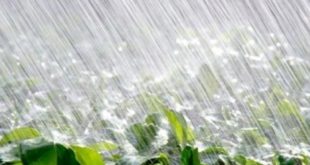 Maroc : Pluie et bonnes perspectives pour la saison agricole 2017