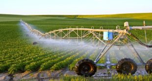 Assises de l’agriculture  : L’or bleu, cause de «stress»