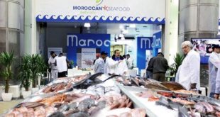 Produits de la mer : Participation marocaine au Seafood