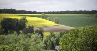 ADA : Plus de 16 milliards aux projets agricoles solidaires