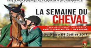 Maroc : La Semaine du Cheval du 3 au 9 juillet