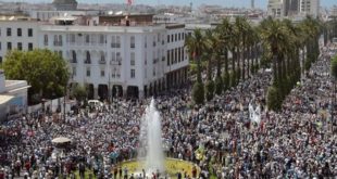 Marche nationale de soutien au Rif : Ceux qui ont marché à Rabat