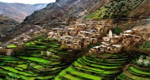 Agriculture : Le Maroc dans le Top 5 africain