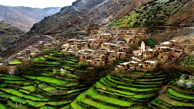 Agriculture : Le Maroc dans le Top 5 africain | Le Reporter.ma