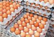 Affaire d’œufs contaminés/Maroc : Les consuméristes pas rassurés !