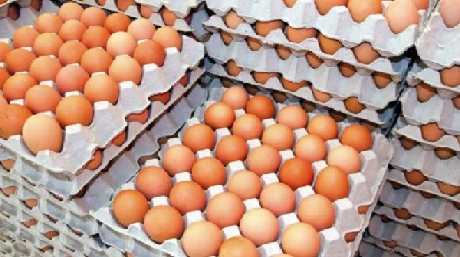 Affaire d’œufs contaminés/Maroc : Les consuméristes pas rassurés !