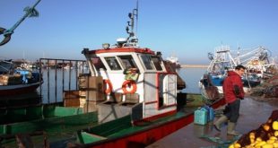 Accord de pêche Maroc-UE : Le lobby espagnol affûte ses armes