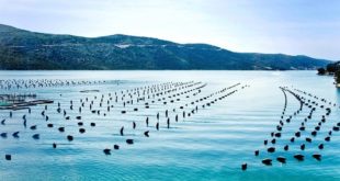 Aquaculture : Le potentiel marocain selon l’ADA