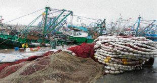 Maroc/Pêche artisanale : Un appel d’offres pour des caissons isothermes