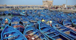 Pêche maritime : Le projet des «puces électroniques» est-il légal ?