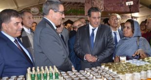 Maroc : Une loi pastorale pour le développement durable des parcours