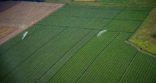 Fès-Meknès : Les perspectives de l’agriculture durable