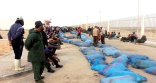 Dakhla : La pêche au poulpe reprend sur fond d’inquiétude !