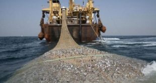 ONP : Les produits de la pêche en nette progression
