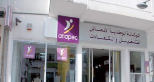 Emploi : L’ANAPEC préside l’AMSEP