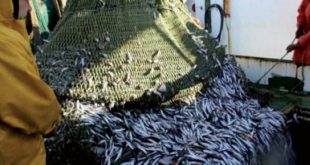 Maroc-UE : Accord de pêche, les négociations relancées…