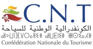 Fédérations : la CNT restera externe à la CGEM