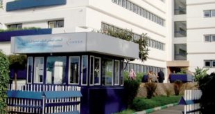 Sefrou : Saisie de 1,6 tonne de fientes de volailles destinées à l’engraissement du cheptel