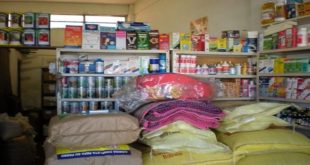 Beni Mellal : Saisie de médicaments vétérinaires de contrebande en vente illicite