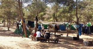 Reportage : De quoi rêvent les migrants dans la forêt de Nador ?