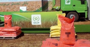 OCP Kenya : Accusé de non-conformité à la réglementation, le Groupe réagit