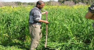 ORMVA-Gharb : Hausse tangible des subventions du FDA