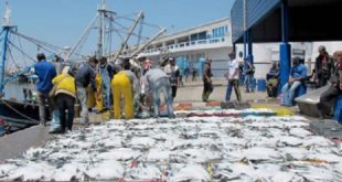 Accord de pêche : L’Espagne satisfaite de l’entente entre le Maroc et l’UE