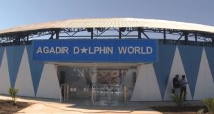 Agadir Dolphin World : Le delphinarium vient d’ouvrir ses portes (Vidéo)