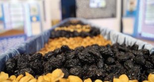 Al Hoceima : Les produits agricoles du terroir en fête