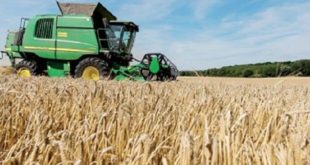 Campagne agricole : Rabat-Salé-Kénitra s’attend à une production record