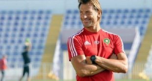 Football : Hervé Renard à la tête de la séléction algérienne de football ? Il réagit