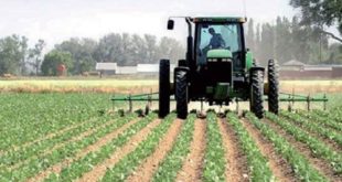 Agriculture : Pluies rassurantes pour la campagne 2018-2019